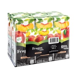 FRUGOS TETRA X 24 UND